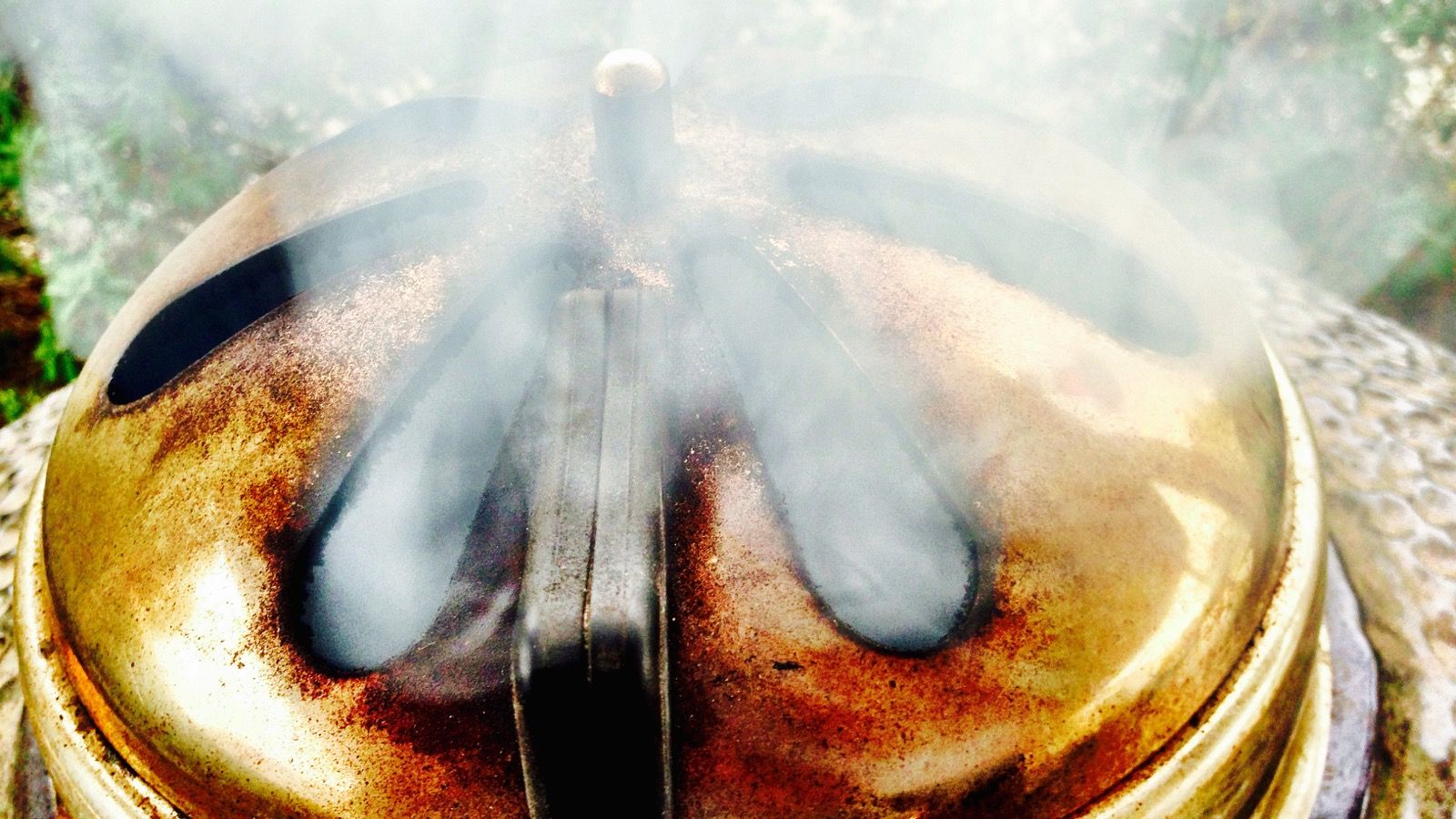 Kamado smoking
