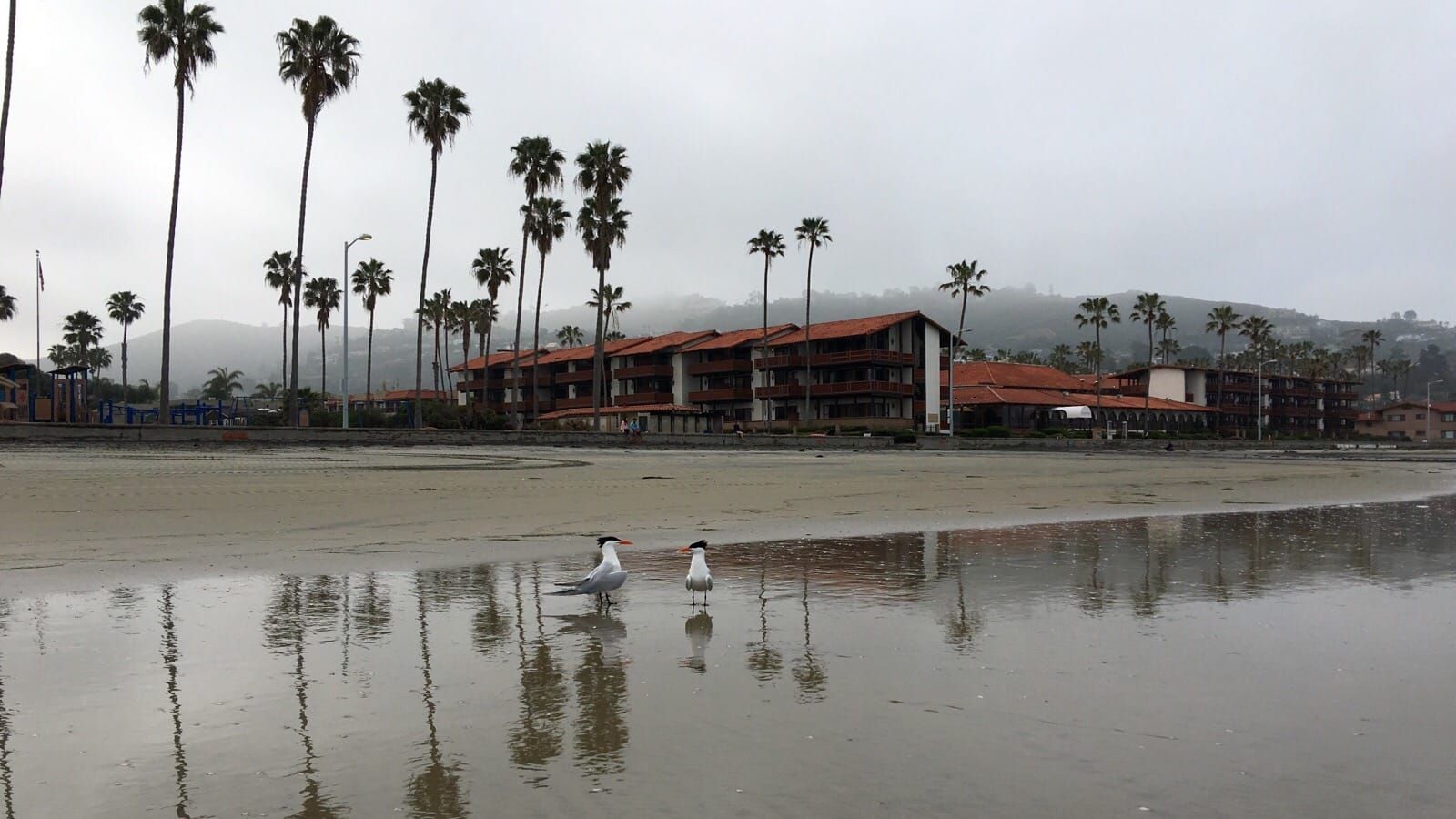 San Diego beach