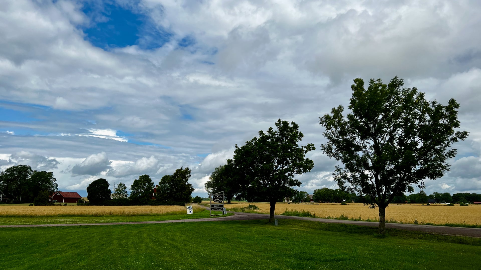 The Swedish plains sure are pretty in the summer.