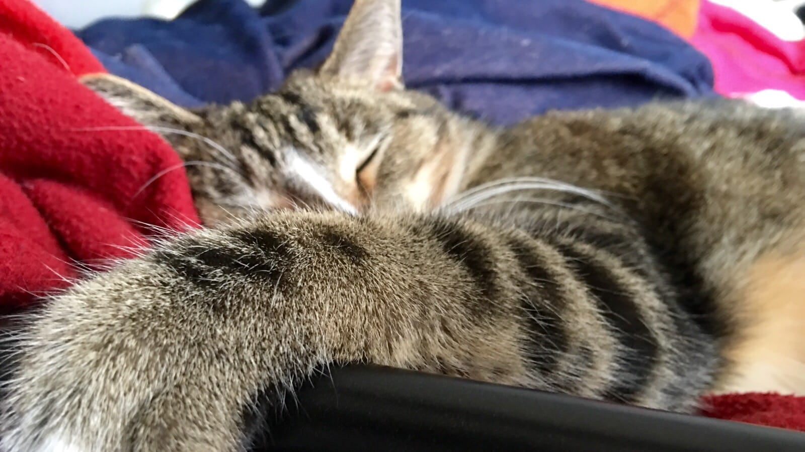 Are you ever this relaxed?