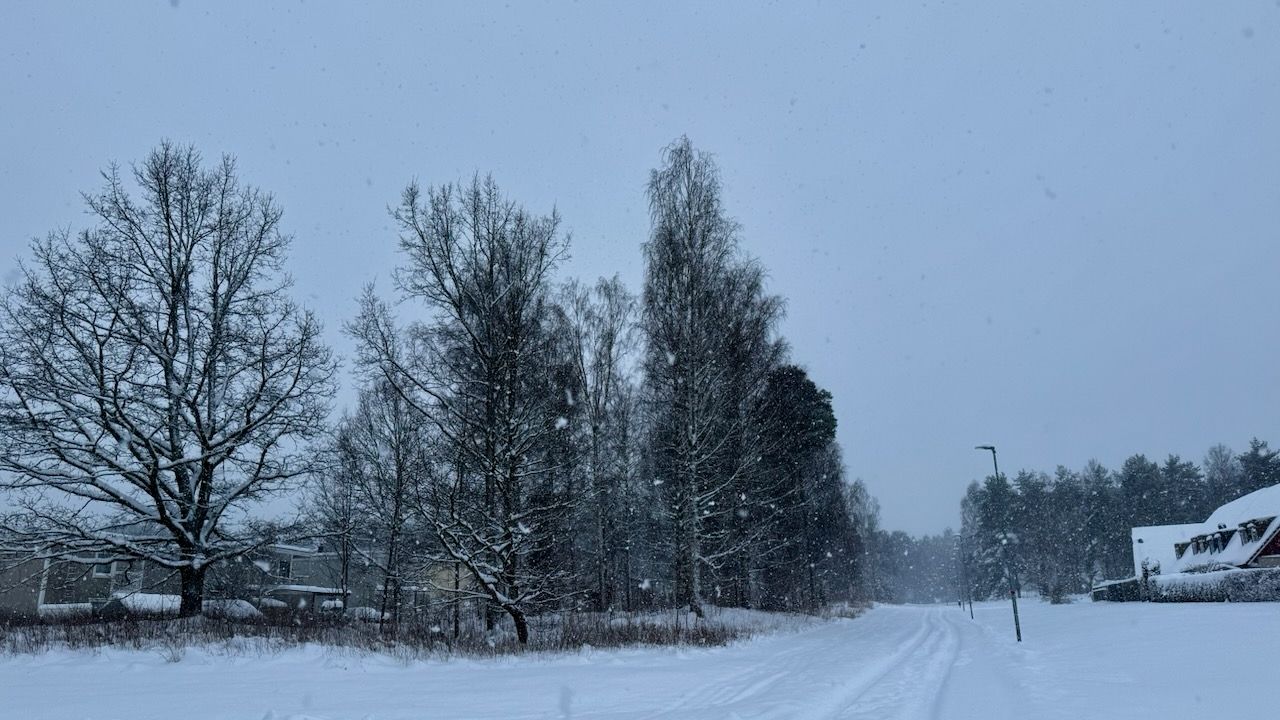 Swedish winter